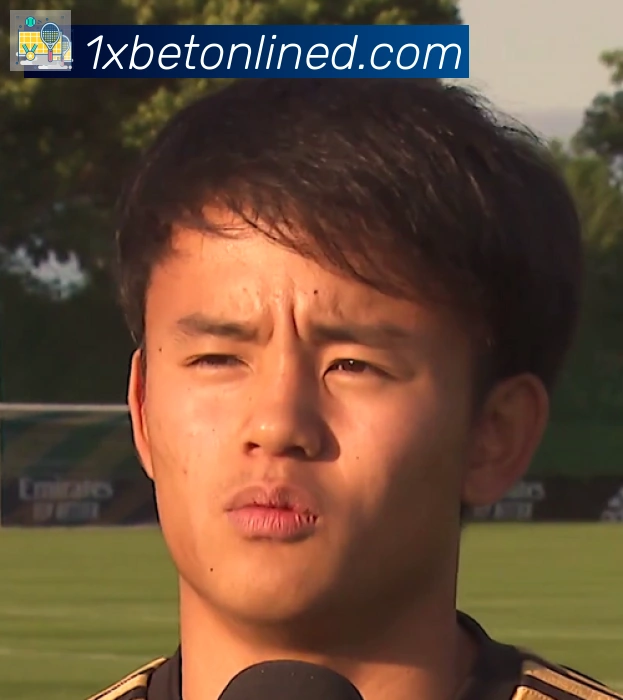 维尼修斯
